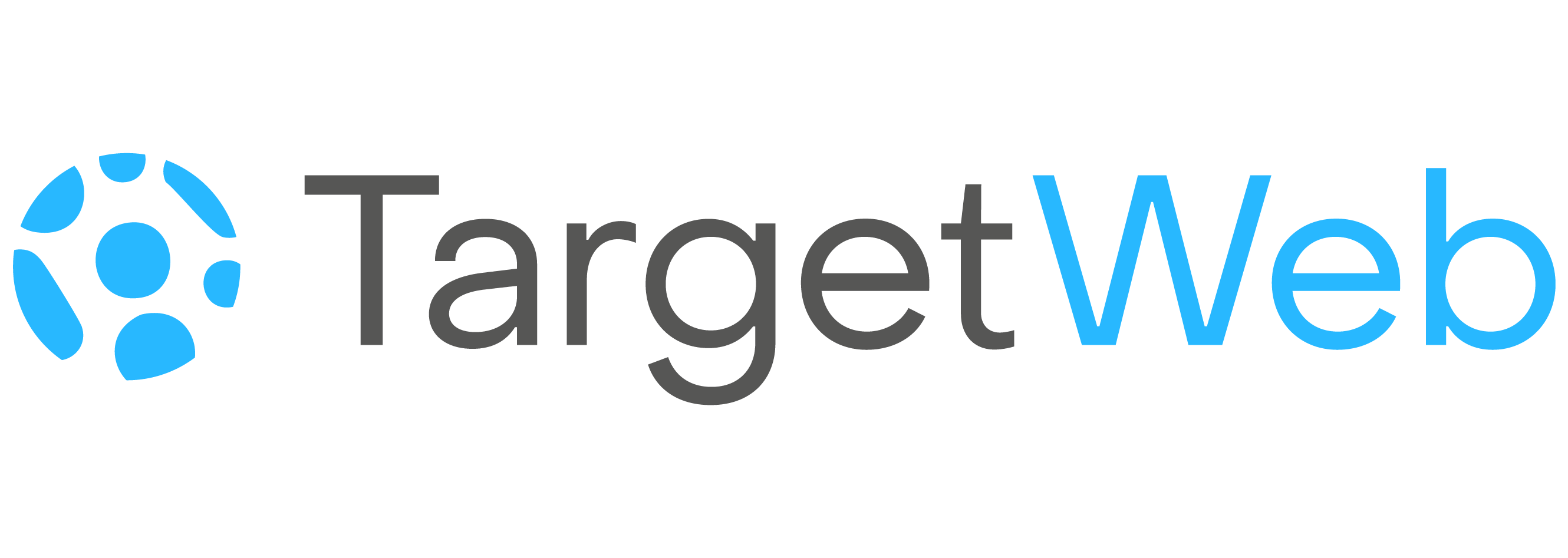 TargetWeb Logo